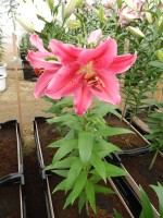 [3455 W05 0708-01 No01.JPG]